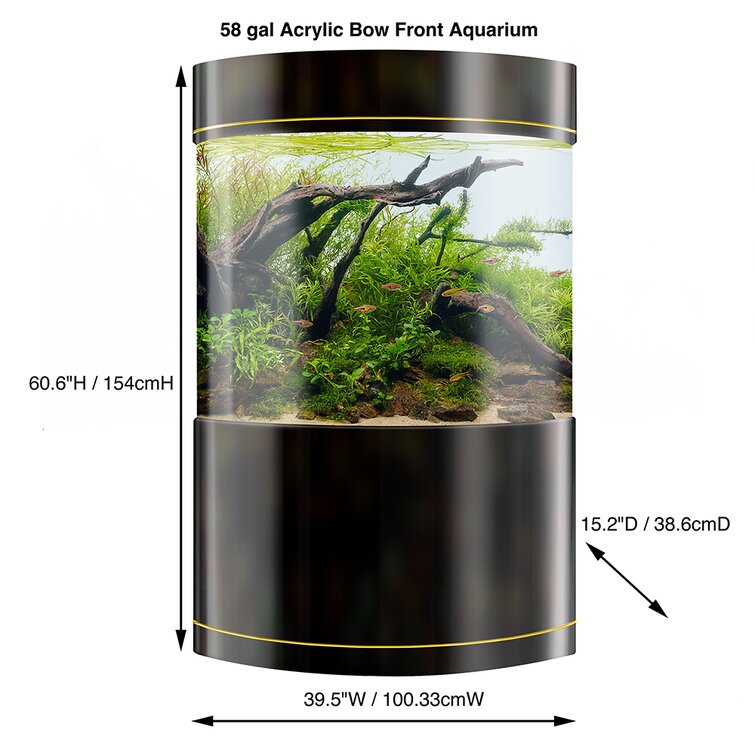 Bow front clearance aquarium